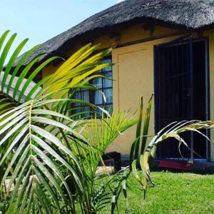a house with a thatch roof and some plants at Jamrock Lodge in Winterveld