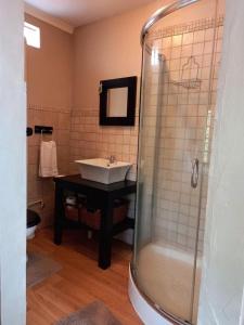 a bathroom with a sink and a shower at Warthog Corner in Leeupoort
