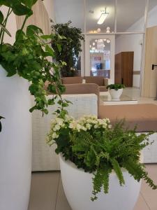 Postel nebo postele na pokoji v ubytování Hotel Olympia