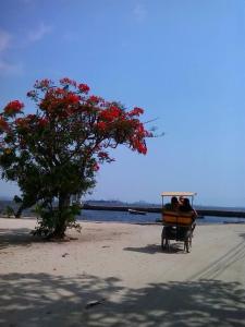 two people riding in a cart on the beach at Paqueta home in Rio de Janeiro