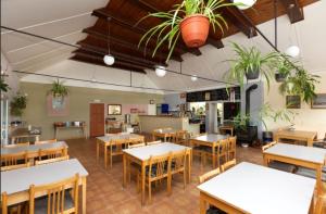 a restaurant with tables and chairs and potted plants at RS U Kapličky in Jindřichŭv Hradec