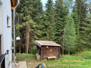 Príroda v okolí apartmánu
