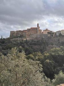 Gallery image of Holiday home in Caldana - Toskana 43473 in Caldana