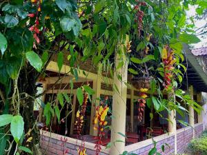 Κήπος έξω από το finca del Río Copan