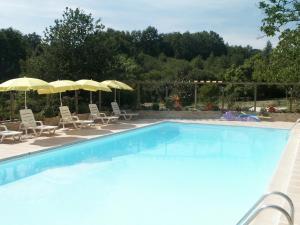 a large blue swimming pool with chairs and umbrellas at Gites le Sud, La Petite Grange in Puybrun +8 photos
