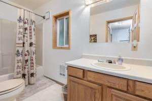 a bathroom with a sink and a toilet and a mirror at Twin Maples | WiFi, River Access, BBQ in Packwood +36 photos