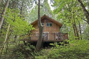 a wooden cabin in the middle of a forest at Twin Maples | WiFi, River Access, BBQ in Packwood