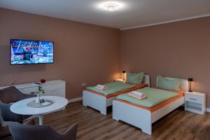 TV a/nebo společenská místnost v ubytování Top-moderne Ferienwohnung und Apartments auf früherem wunderschönen Bauernhof im Elbe-Elster-Kreis in Brandenburg bei Herzberg-Elster, Schönewalde, Holzdorf