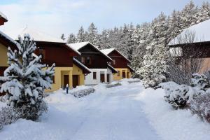 Villa Park Lipno-Lipno-In v zimě