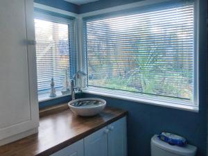 a bathroom with a sink and a window and a toilet at Kildare in Niton