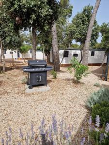 Zahrada ubytování Mobile Home Limona