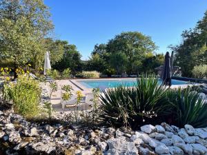 a pool with umbrellas and plants in a yard at Domaine d Arcadie in Montaigu-de-Quercy