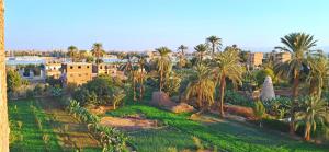 Fotografie z fotogalerie ubytování Blue Jorf Apartments v destinaci Luxor