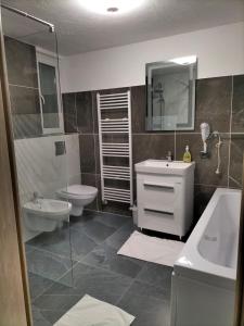 a bathroom with a sink and a toilet and a mirror at Pensiune Stirbu in Borsa