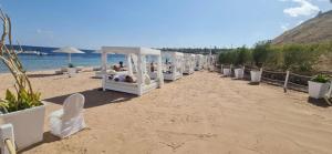 a row of beds on a sandy beach at Domina Coral Bay in Sharm El Sheikh