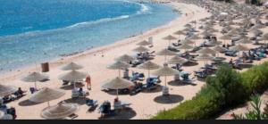 a bunch of umbrellas on a beach with the ocean at Domina Coral Bay in Sharm El Sheikh