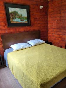 a bedroom with a bed with a painting on the wall at Apartamento con vista al lago in Paipa