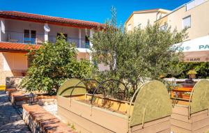 Zahrada ubytování Cozy Apartment In Barbat Na Rabu + 29 fotografií