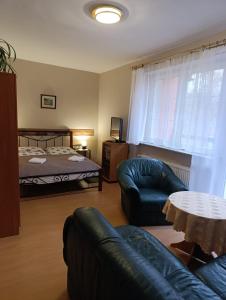 a living room with a bed and a couch at Karkoz Karpacz in Karpacz