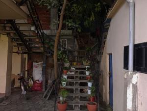 an alley with stairs and potted plants in a building at Sauraha Inn in Sauraha