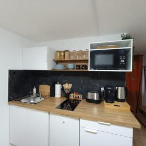 una cucina con piano di lavoro e forno a microonde di Le paisible de triolo a Villeneuve d'Ascq