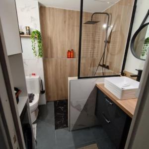 un bagno con doccia, lavandino e WC di Le paisible de triolo a Villeneuve d'Ascq Altre 27 foto