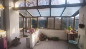 an empty greenhouse with windows and potted plants at Villa Marilu in Trezzano sul Naviglio
