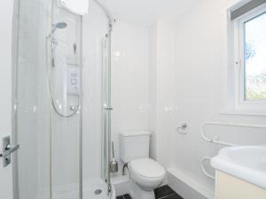 a white bathroom with a toilet and a shower at 24 Valley Lodge in Callington +20 photos