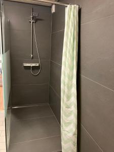 a shower with a shower curtain in a bathroom at Ferienwohnung Barbara in Kirchhundem