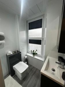 a bathroom with a toilet and a sink and a window at Stonehaven Centre - Dunnottar Apartment in Stonehaven