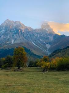 Paesaggio naturale nelle vicinanze dell'affittacamere