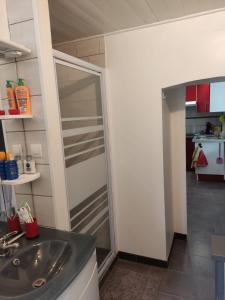 ein Badezimmer mit Dusche und Waschbecken in der Unterkunft Le NORD AU SUD pour 2 personnes in Villecroze