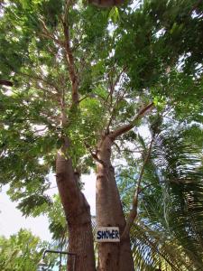 Gallery image of Akki's Hostel in Trincomalee