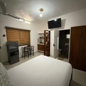 Μια τηλεόραση ή/και κέντρο ψυχαγωγίας στο Bungalows La Condesa