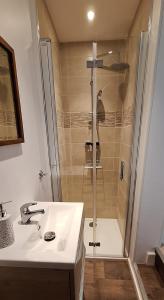 a bathroom with a shower and a sink and a sink at L'Eau Reine in Saumur +5 photos