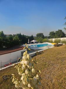 a palm tree in a yard next to a swimming pool at Quinta do Lidador in Chamusca
