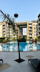 a palm tree in the middle of a courtyard at Elite Luxury Suites at The Diamond in City in Cantonments