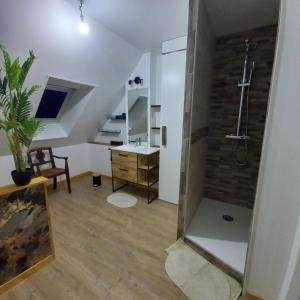 a bathroom with a shower and a sink and a desk at 4 Chambres et dortoir 5x90 in Cérans-Foulletourte