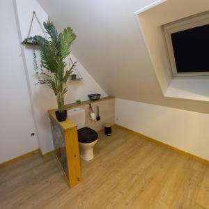 a bathroom with a toilet with a plant on a table at 4 Chambres et dortoir 5x90 in Cérans-Foulletourte