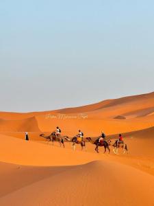 a group of people riding horses in the desert at Family Berber Camp in Merzouga