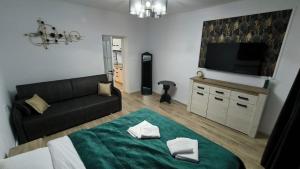 a living room with a couch and a flat screen tv at Salin Gold Ap in Turda