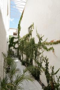 a white building with plants on the side of it at Bonita Casona enfrente del Santuario 7 G in Guadalajara +9 photos
