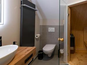 Ένα μπάνιο στο Premium Chalet in Buntenbock +25 φωτογραφίες