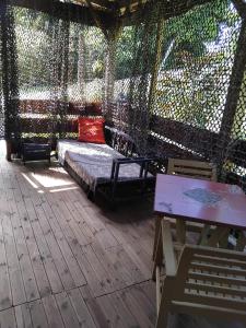 Galería fotográfica de A Kaz Robinson en Sainte-Luce