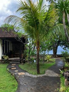 a palm tree in front of a house at Jukung Bali Bungalow in Amed