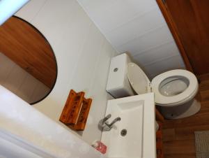 een kleine badkamer met een toilet en een spiegel bij Cabañas MoonRose in Concepción del Uruguay +2 foto's