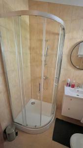 een douche met een glazen deur in een badkamer bij Panorama Apartment Marija in Stanići