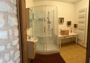 a bathroom with a shower and a sink at Manoir de Manapany in Angliers