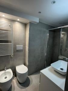 ベルガモにあるP&P In Centro Apartmentのトイレと洗面台付きのバスルーム
