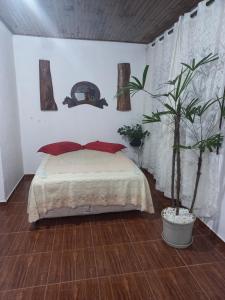 Un dormitorio con una cama con almohadas rojas y una planta en Recanto dos Bois de Sela, en Dom Viçoso